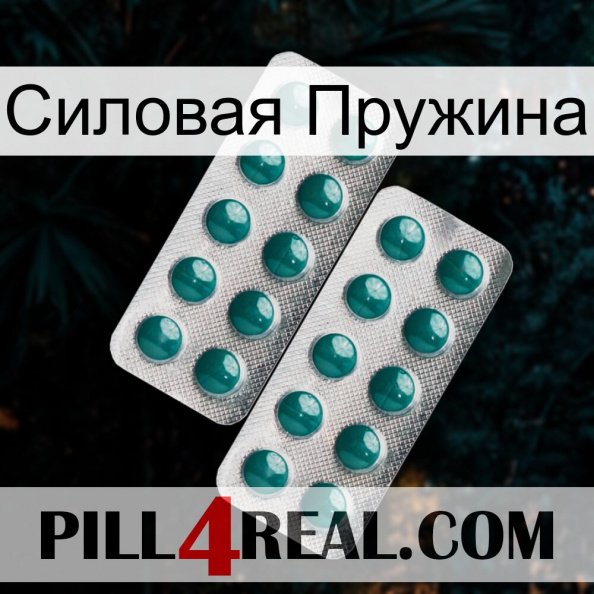 Силовая Пружина dapoxetine2.jpg